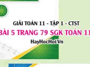 Giải bài 5 trang 79 Toán 11 tập 1 SGK Chân trời sáng tạo